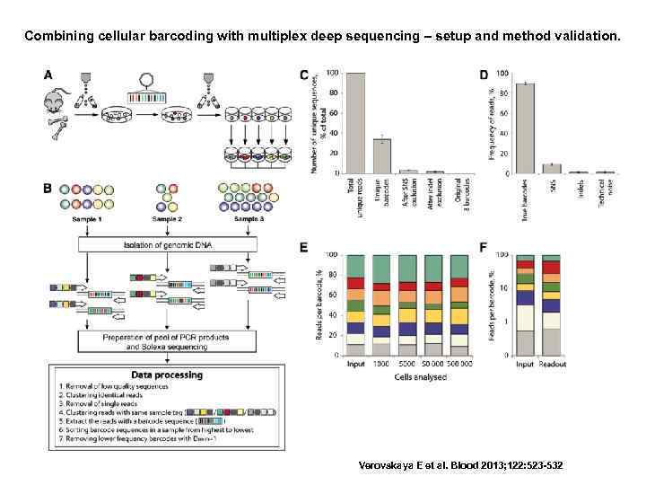 Combining cellular barcoding with multiplex deep sequencing – setup and method validation. Verovskaya E