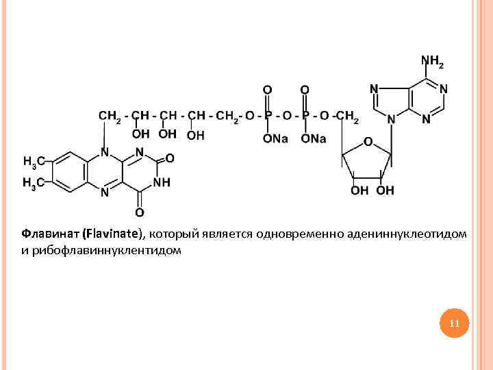 Флавинат (Flavinate), который является одновременно адениннуклеотидом и рибофлавиннуклентидом 11 