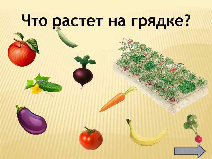 Что растет на грядке? 