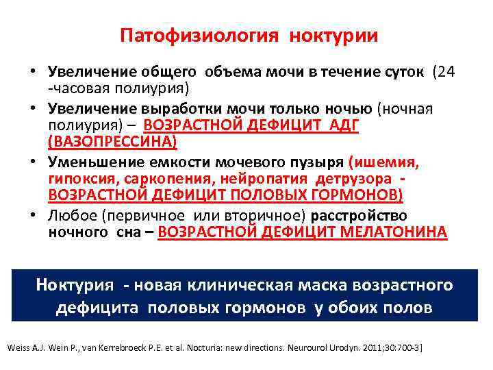  Патофизиология ноктурии • Увеличение общего объема мочи в течение суток (24 -часовая полиурия)