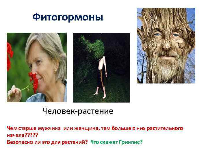 Фитогормоны Человек-растение Чем старше мужчина или женщина, тем больше в них растительного начала? ?