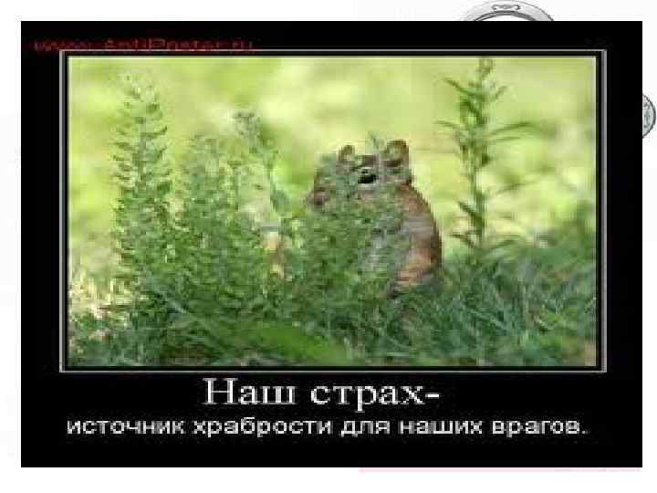 ПОЧЕМУ мы боимся гормонов? 