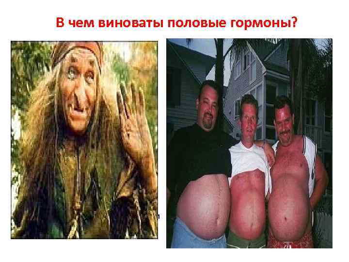 В чем виноваты половые гормоны? Половые гормоны (эстрогены) – гормоны женской красоты и здоровья