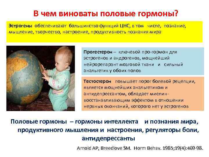 В чем виноваты половые гормоны? Эстрогены обеспечивают большинство функций ЦНС, в том числе, познание,