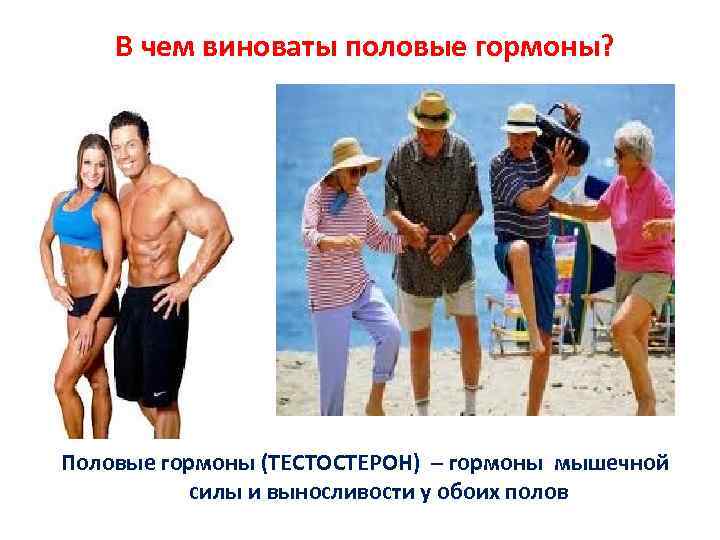В чем виноваты половые гормоны? Половые гормоны (ТЕСТОСТЕРОН) – гормоны мышечной силы и выносливости