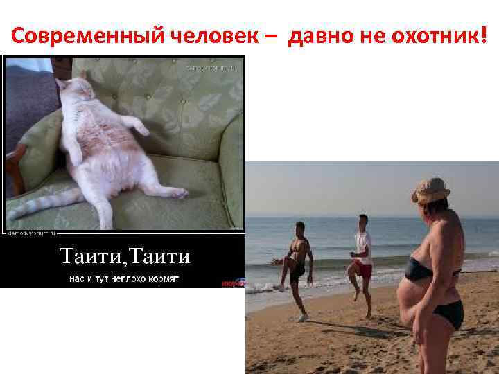 Современный человек – давно не охотник! 