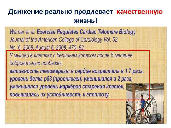 Движение реально продлевает качественную жизнь! 