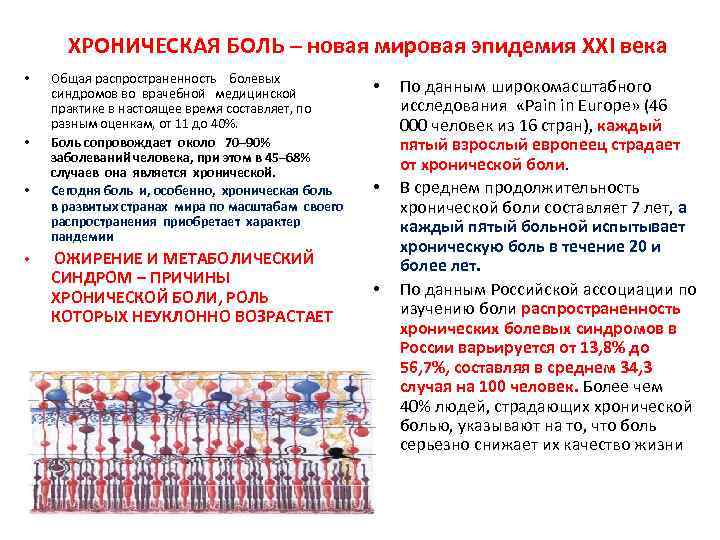  ХРОНИЧЕСКАЯ БОЛЬ – новая мировая эпидемия XXI века • • Общая распространенность болевых