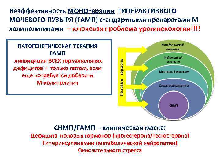 Неэффективность МОНОтерапии ГИПЕРАКТИВНОГО МОЧЕВОГО ПУЗЫРЯ (ГАМП) стандартными препаратами Мхолинолитиками – ключевая проблема урогинекологии!!!! ПАТОГЕНЕТИЧЕСКАЯ