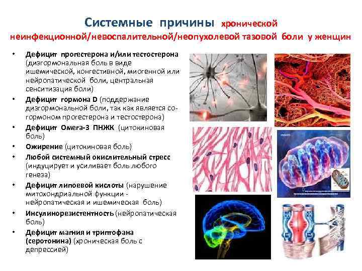 Системные причины. Системная причина это. Шкала центральной сенситизации.