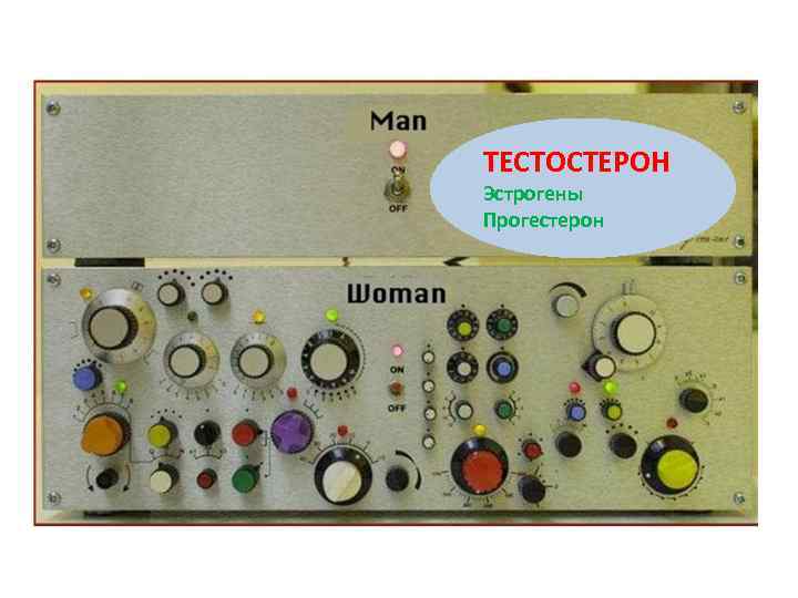ТЕСТОСТЕРОН Эстрогены Прогестерон 
