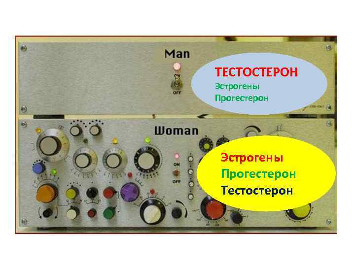 ТЕСТОСТЕРОН Эстрогены Прогестерон Тестостерон 