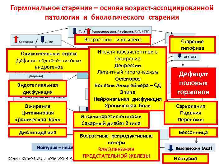 Гормональное старение – основа возраст-ассоциированной патологии и биологического старения Возрастной гипотиреоз Окислительный стресс Дефицит