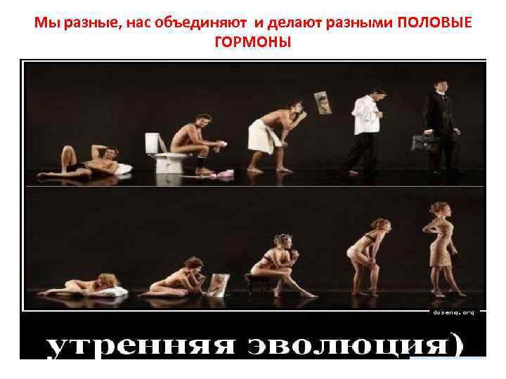 Мы разные, нас объединяют и делают разными ПОЛОВЫЕ ГОРМОНЫ 