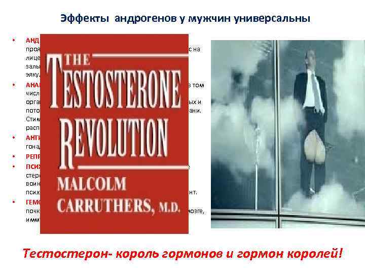 Эффекты андрогенов у мужчин универсальны • • • АНДРОГЕННЫЕ - рост и развитие половых
