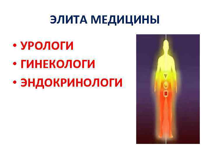 ЭЛИТА МЕДИЦИНЫ • УРОЛОГИ • ГИНЕКОЛОГИ • ЭНДОКРИНОЛОГИ 