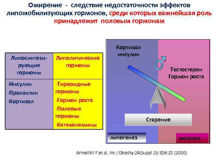 Ожирение - следствие недостаточности эффектов липомобилизующих гормонов, среди которых важнейшая роль принадлежит половым гормонам