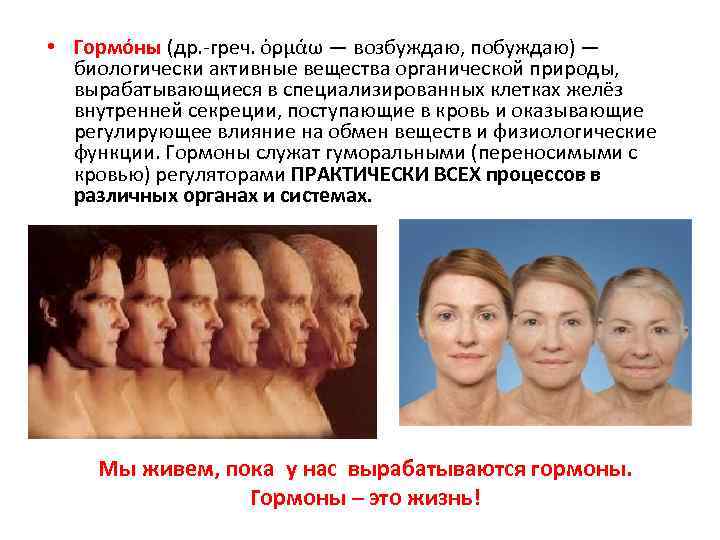  • Гормо ны (др. -греч. ὁρμάω — возбуждаю, побуждаю) — биологически активные вещества