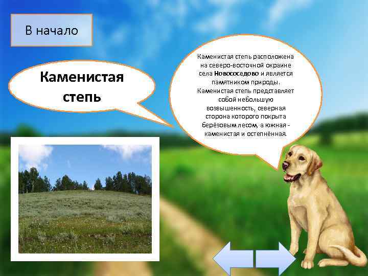В начало Каменистая степь расположена на северо-восточной окраине села Новососедово и является памятником природы.