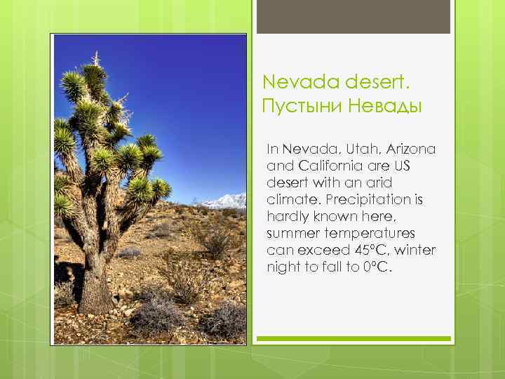 Nevada desert. Пустыни Невады In Nevada, Utah, Arizona and California are US desert with