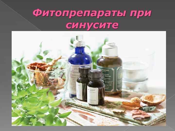 Фитопрепараты при синусите 