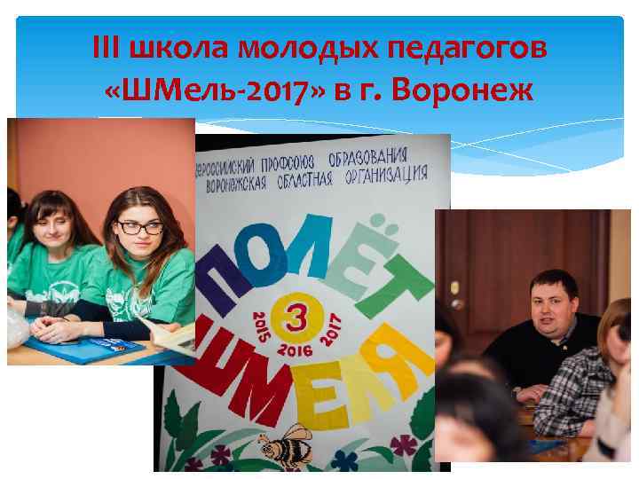 III школа молодых педагогов «ШМель-2017» в г. Воронеж 