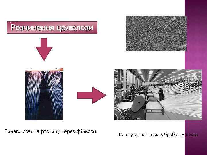 Розчинення целюлози Видавлювання розчину через фільєри Витягування і термообробка волокна 