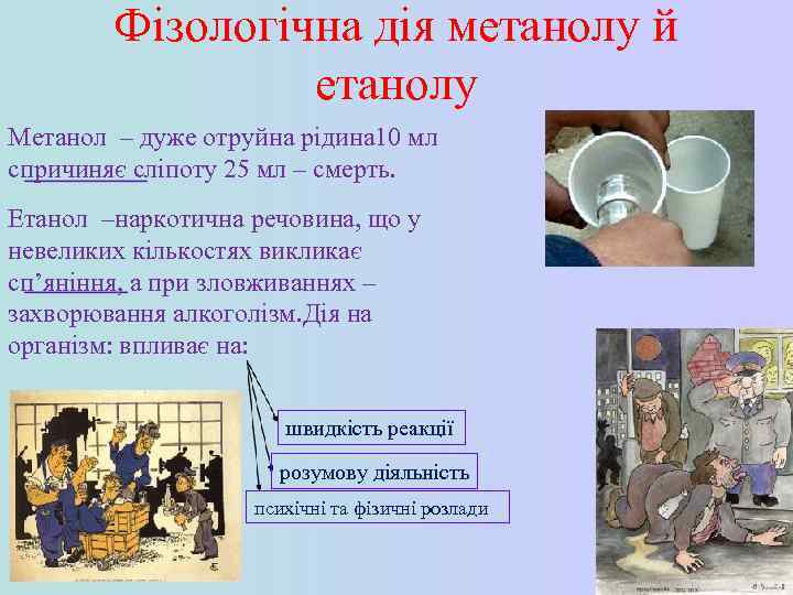 Фізологічна дія метанолу й етанолу Метанол – дуже отруйна рідина 10 мл спричиняє сліпоту