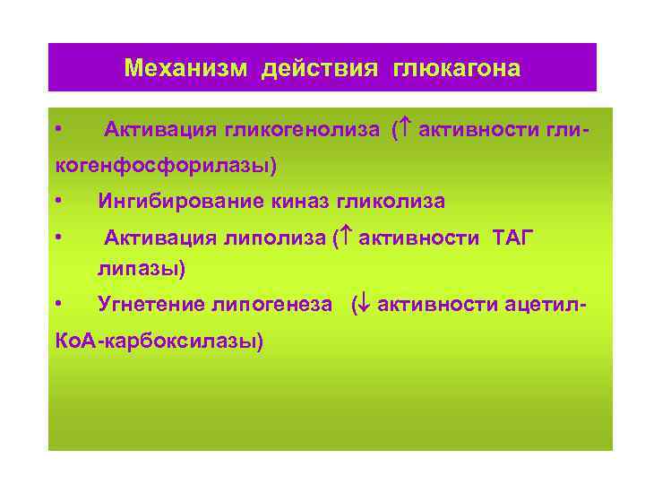 Механизм действия глюкагона • Активация гликогенолиза ( активности гли- когенфосфорилазы) • Ингибирование киназ гликолиза