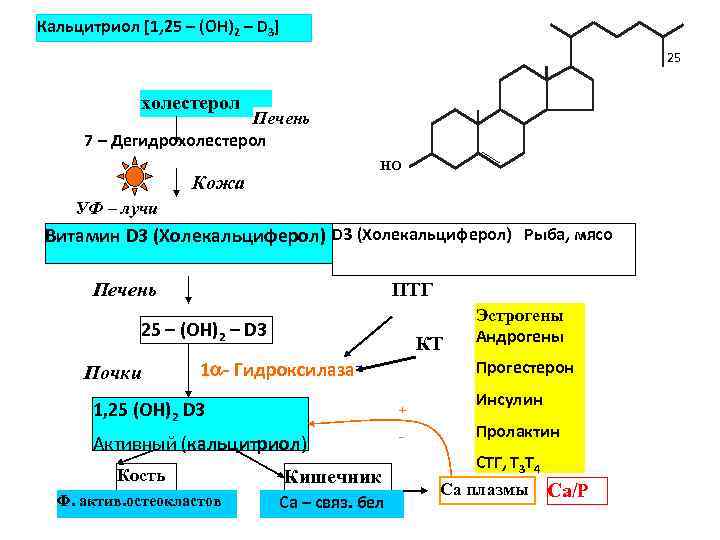 Схема синтеза кальцитриола