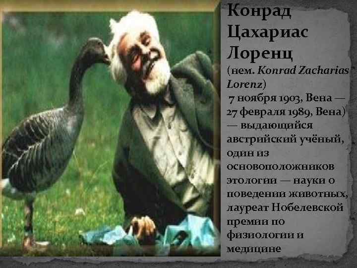 Конрад Цахариас Лоренц (нем. Konrad Zacharias Lorenz) 7 ноября 1903, Вена — 27 февраля