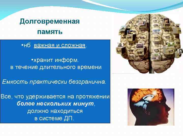 Долговременная память • нб важная и сложная. • хранит информ. в течение длительного времени