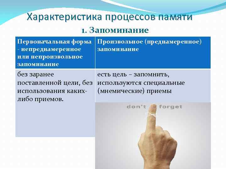 Характеристика процессов памяти 1. Запоминание Первоначальная форма Произвольное (преднамеренное) - непреднамеренное запоминание или непроизвольное