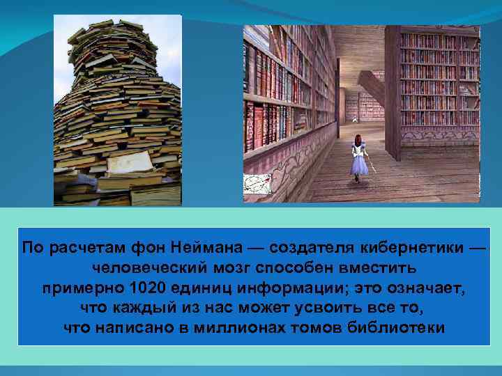 По расчетам фон Неймана — создателя кибернетики — человеческий мозг способен вместить примерно 1020