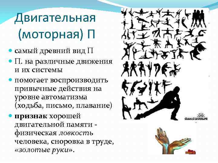 Двигательная (моторная) П самый древний вид П П. на различные движения и их системы