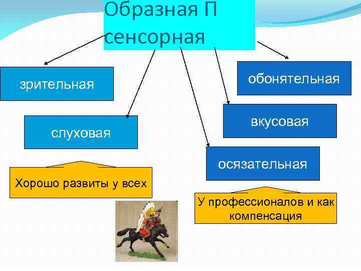 Образная П сенсорная зрительная слуховая обонятельная вкусовая осязательная Хорошо развиты у всех У профессионалов