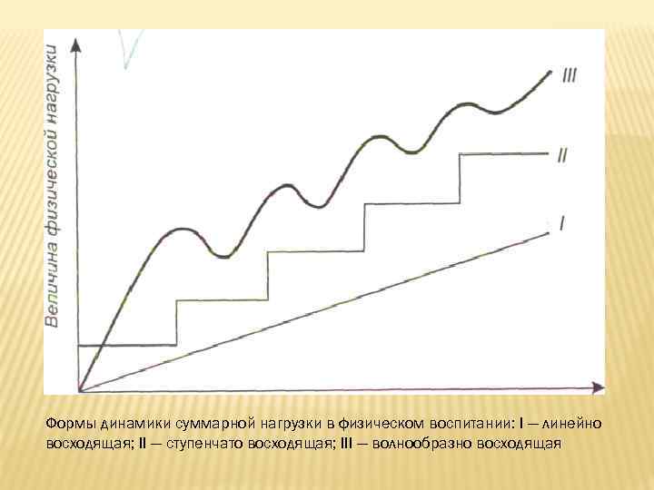 Формы динамики суммарной нагрузки в физическом воспитании: I — линейно восходящая; II — ступенчато