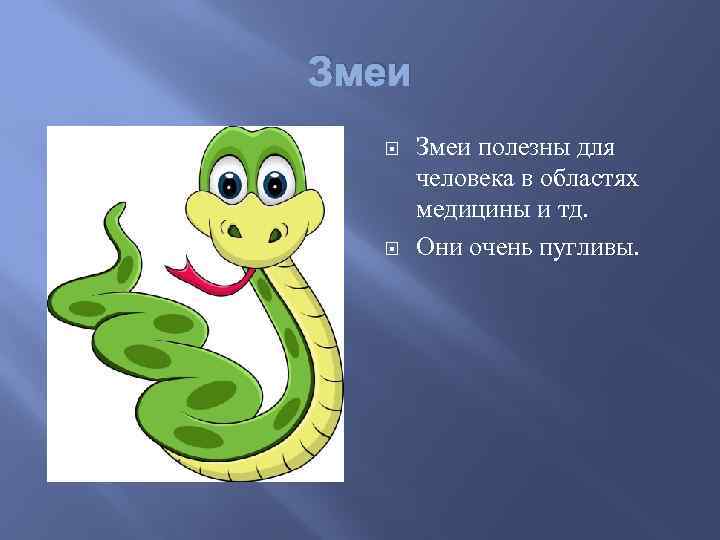 Змеи полезны для человека в областях медицины и тд. Они очень пугливы. 