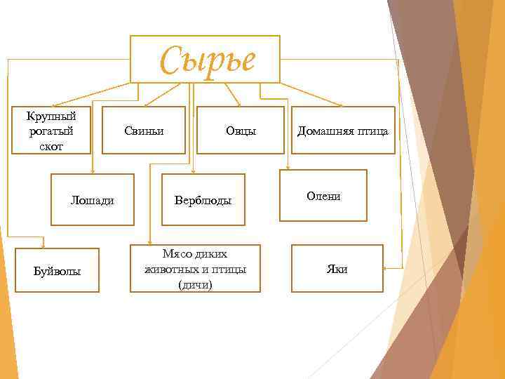 Сырье Крупный рогатый скот Лошади Буйволы Свиньи Овцы Верблюды Мясо диких животных и птицы