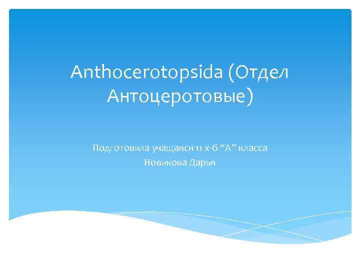 Anthocerotopsida (Отдел Антоцеротовые) Подготовила учащаяся 11 х б “А” класса Новикова Дарья 