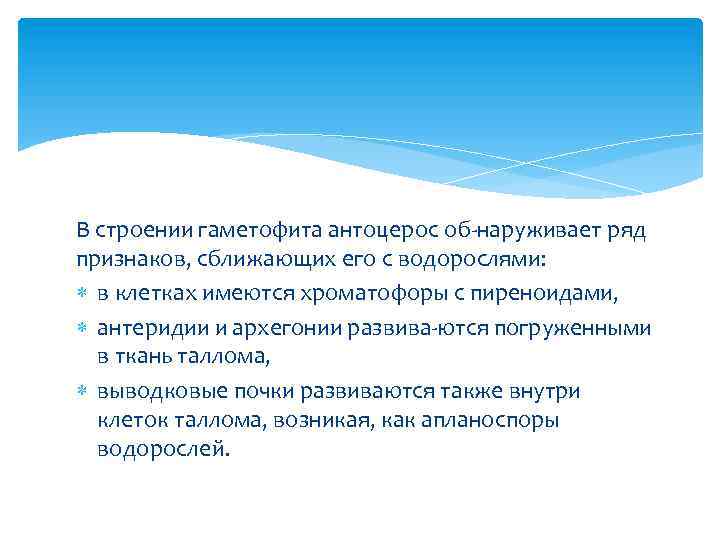 В строении гаметофита антоцерос об наруживает ряд признаков, сближающих его с водорослями: в клетках