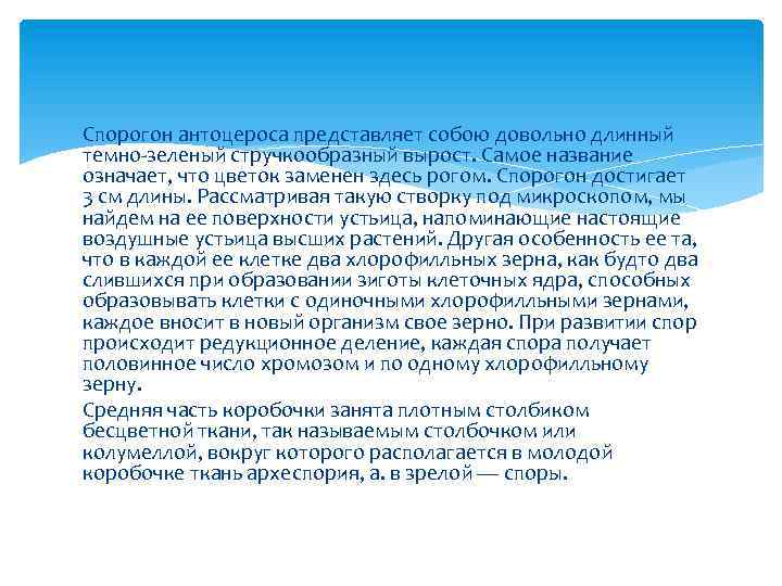 Спорогон антоцероса представляет собою довольно длинный темно зеленый стручкообразный вырост. Самое название означает, что