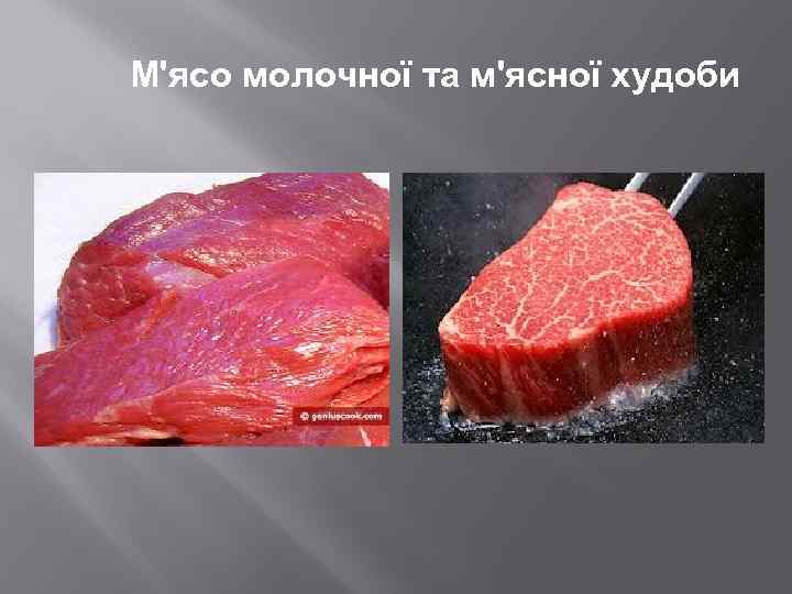 М'ясо молочної та м'ясної худоби 