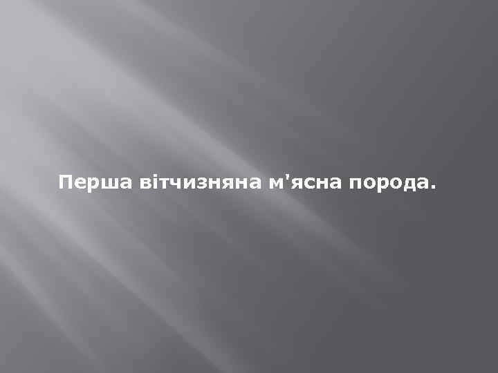 Перша вітчизняна м'ясна порода. 