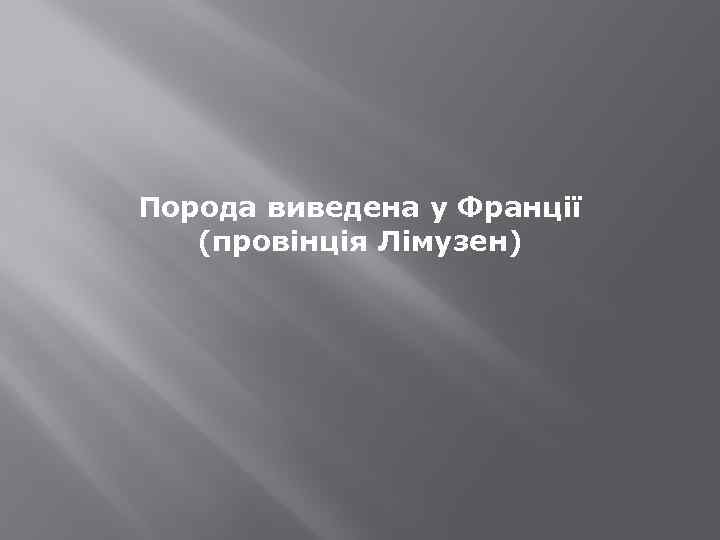 Порода виведена у Франції (провінція Лімузен) 