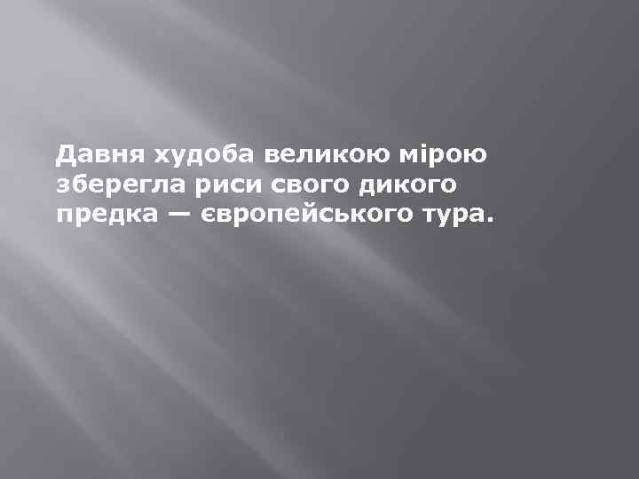 Давня худоба великою мірою зберегла риси свого дикого предка — європейського тура. 