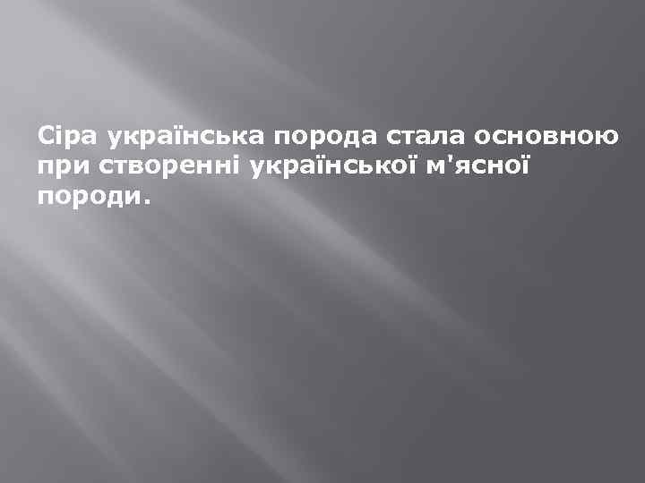 Сіра українська порода стала основною при створенні української м'ясної породи. 