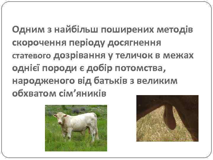 Одним з найбільш поширених методів скорочення періоду досягнення статевого дозрівання у теличок в межах