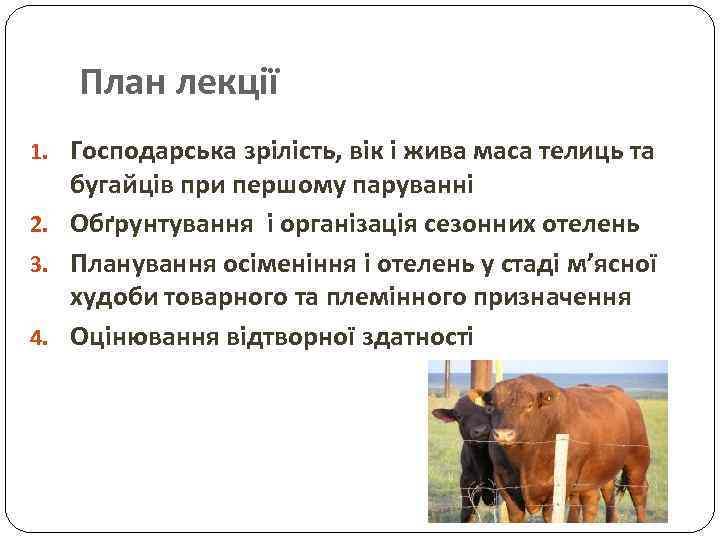 План лекції 1. Господарська зрілість, вік і жива маса телиць та бугайців при першому