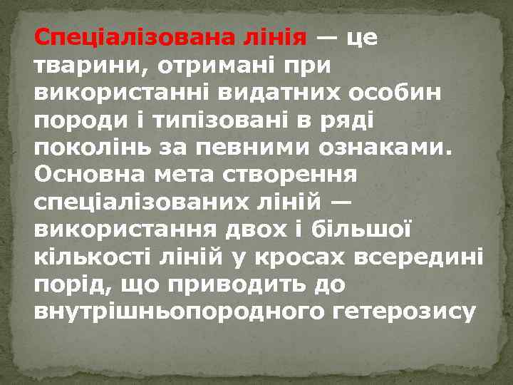 Спеціалізована лінія — це тварини, отримані при використанні видатних особин породи і типізовані в